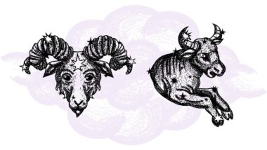 Baran i Byk - kompatybilność w horoskopie partnerskim