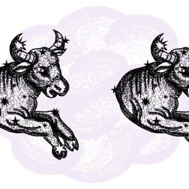 Byk i Byk - kompatybilność w horoskopie partnerskim