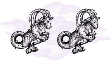 Koziorożec i Koziorożec - kompatybilność w horoskopie partnerskim