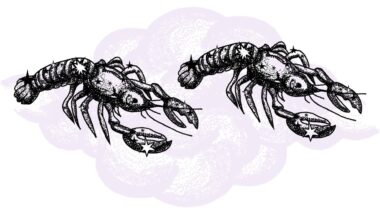 Rak i Rak - kompatybilność w horoskopie partnerskim