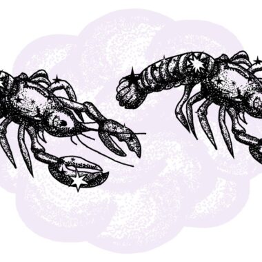 Rak i Rak - kompatybilność w horoskopie partnerskim